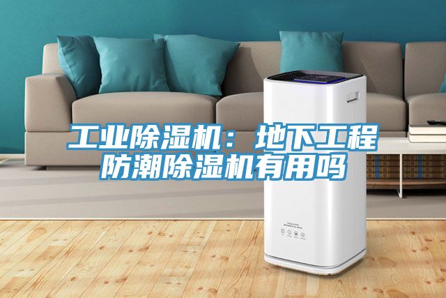 工業榴莲视频官网APP：地下工程防潮榴莲视频官网APP有用嗎