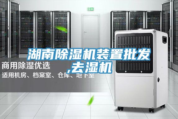 湖南榴莲视频官网APP裝置批發,去濕機
