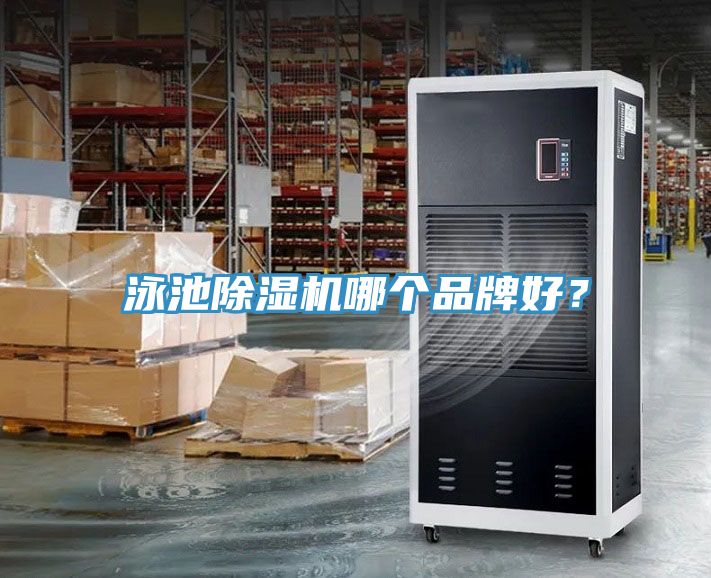 泳池榴莲视频官网APP哪個品牌好？