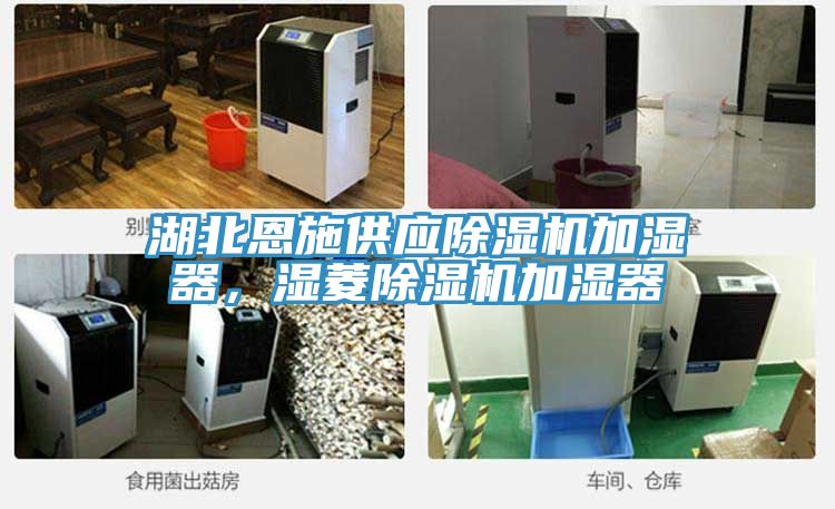 湖北恩施供應榴莲视频官网APP加濕器，濕菱榴莲视频官网APP加濕器