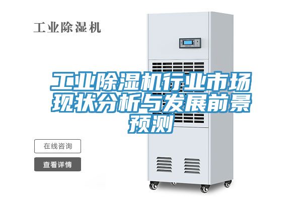 工業榴莲视频官网APP行業市場現狀分析與發展前景預測