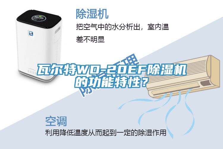 瓦爾特WD-20EF榴莲视频官网APP的功能特性？
