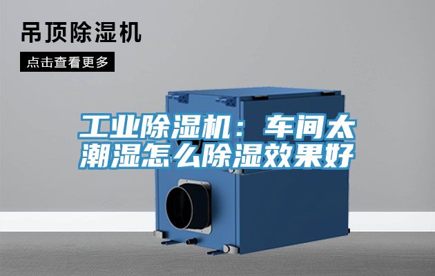 工業榴莲视频官网APP：車間太潮濕怎麽除濕效果好