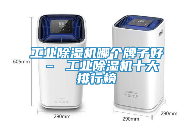 工業榴莲视频官网APP哪個牌子好 – 工業榴莲视频官网APP十大排行榜