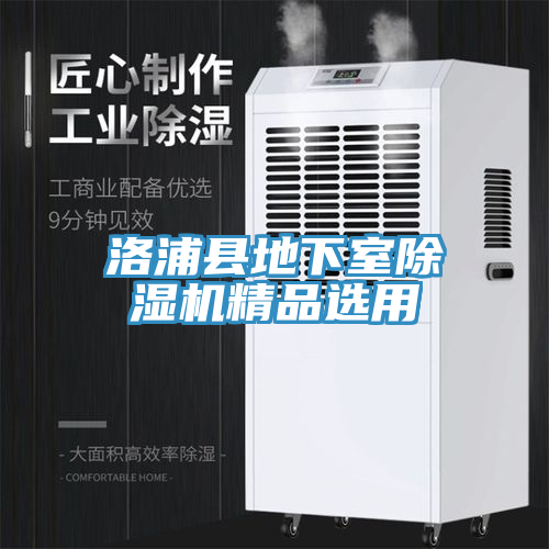 洛浦縣地下室榴莲视频官网APP精品選用