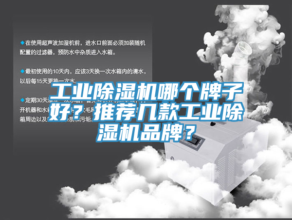 工業榴莲视频官网APP哪個牌子好？推薦幾款工業榴莲视频官网APP品牌？