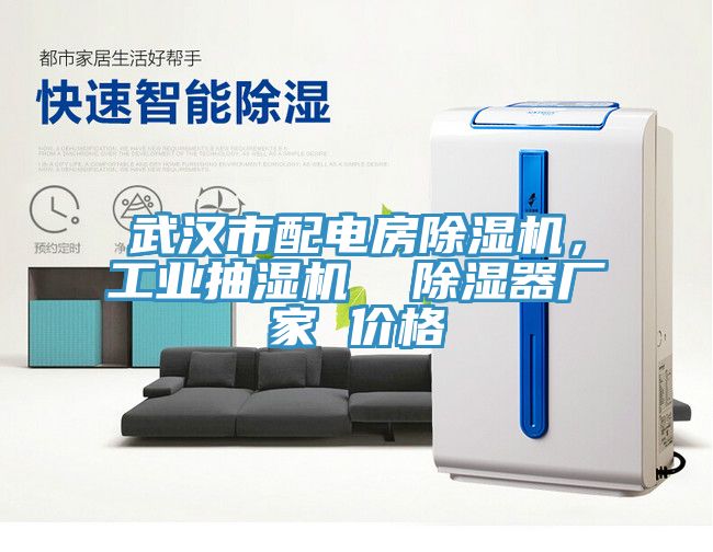 武漢市配電房榴莲视频官网APP，工業抽濕機  除濕器廠家 價格