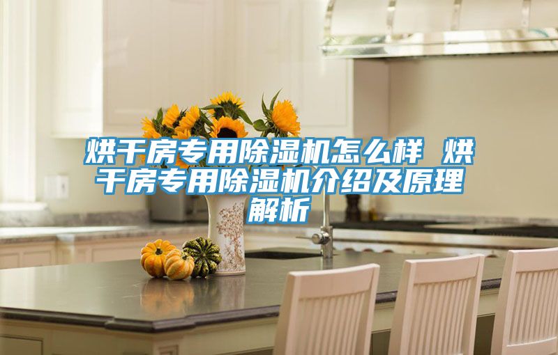 烘幹房專用榴莲视频官网APP怎麽樣 烘幹房專用榴莲视频官网APP介紹及原理解析