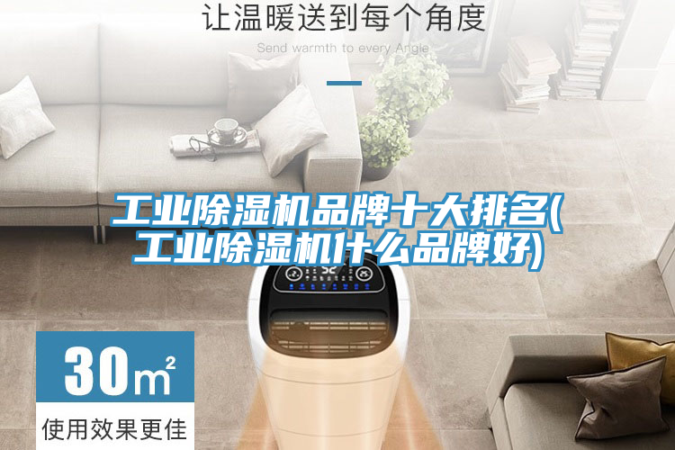 工業榴莲视频官网APP品牌十大排名(工業榴莲视频官网APP什麽品牌好)
