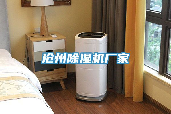 滄州榴莲视频官网APP廠家