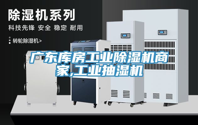 廣東庫房工業榴莲视频官网APP商家,工業抽濕機