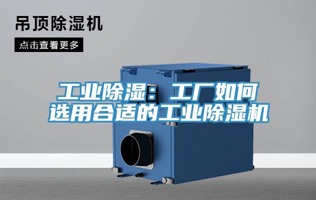 工業除濕：工廠如何選用合適的工業榴莲视频官网APP