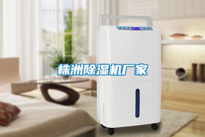 株洲榴莲视频官网APP廠家