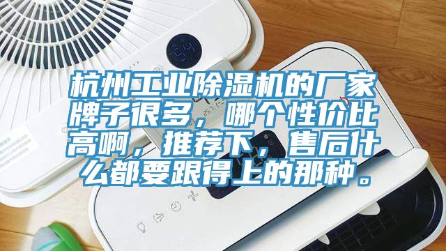 杭州工業榴莲视频官网APP的廠家牌子很多，哪個性價比高啊，推薦下，售後什麽都要跟得上的那種。