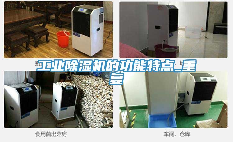 工業榴莲视频官网APP的功能特點_重複