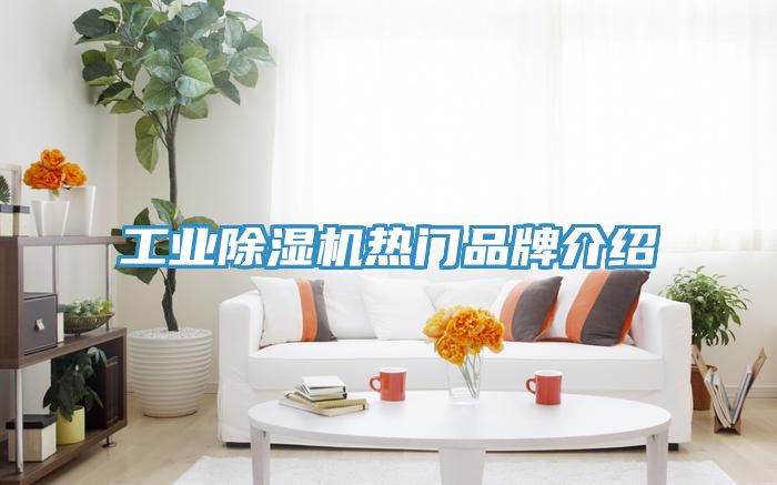 工業榴莲视频官网APP熱門品牌介紹