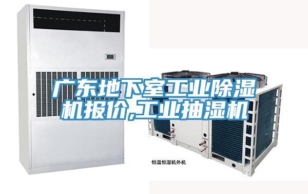 廣東地下室工業榴莲视频官网APP報價,工業抽濕機