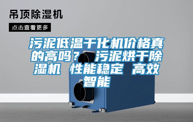汙泥低溫幹化機價格真的高嗎？ 汙泥烘幹榴莲视频官网APP 性能穩定 高效智能