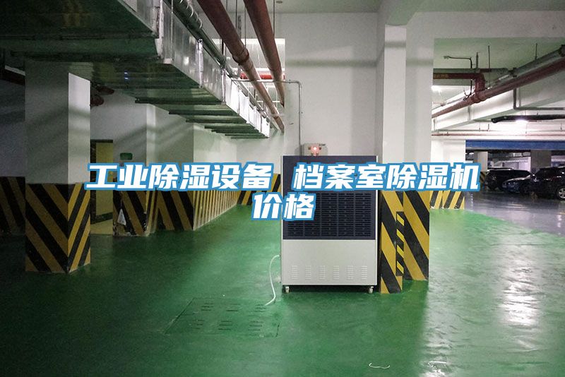 工業除濕設備 檔案室榴莲视频官网APP價格