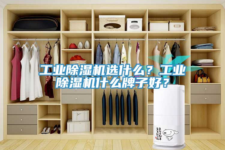工業榴莲视频官网APP選什麽？工業榴莲视频官网APP什麽牌子好？