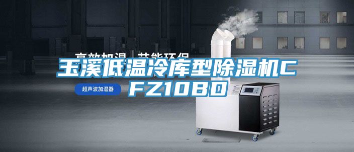 玉溪低溫冷庫型榴莲视频官网APPCFZ10BD