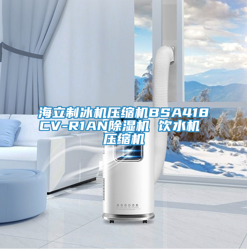 海立製冰機壓縮機BSA418CV-R1AN榴莲视频官网APP 飲水機 壓縮機