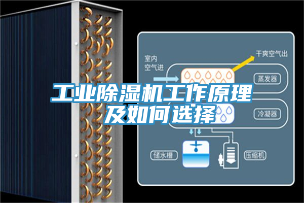 工業榴莲视频官网APP工作原理 及如何選擇