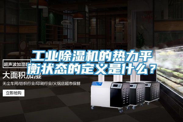 工業榴莲视频官网APP的熱力平衡狀態的定義是什麽？