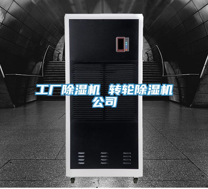 工廠榴莲视频官网APP 轉輪榴莲视频官网APP公司