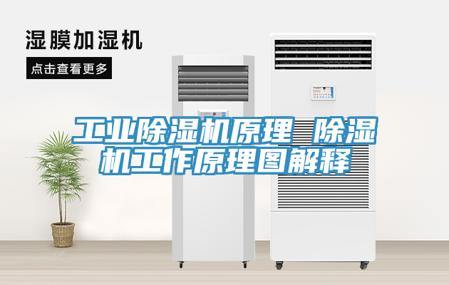 工業榴莲视频官网APP原理 榴莲视频官网APP工作原理圖解釋
