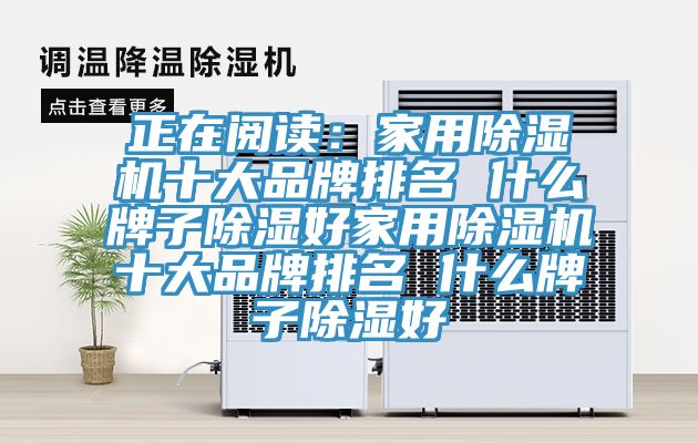 正在閱讀：家用榴莲视频官网APP十大品牌排名 什麽牌子除濕好家用榴莲视频官网APP十大品牌排名 什麽牌子除濕好