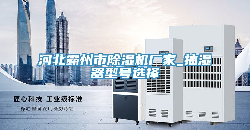 河北霸州市榴莲视频官网APP廠家_抽濕器型號選擇
