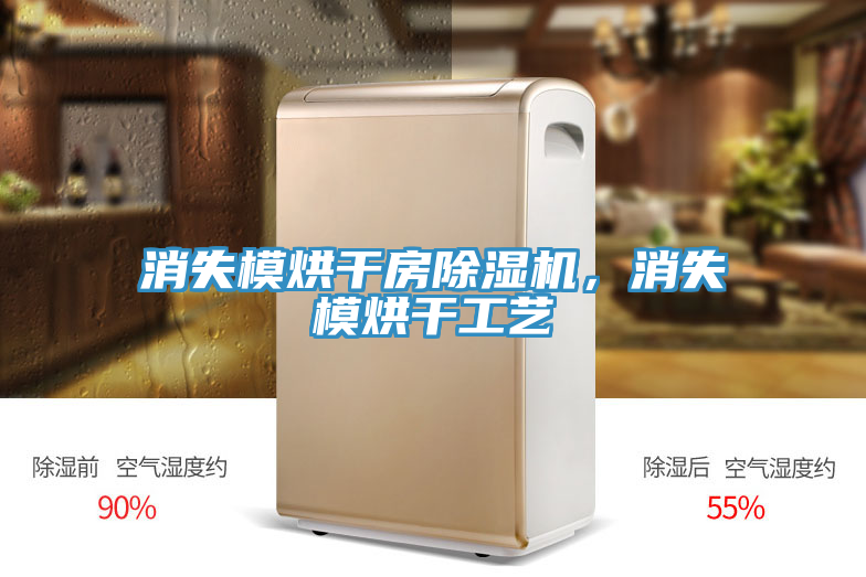 消失模烘幹房榴莲视频官网APP，消失模烘幹工藝