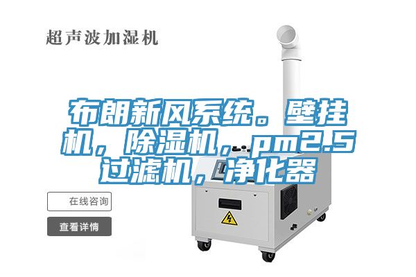 布朗新風係統。壁掛機，榴莲视频官网APP，pm2.5過濾機，淨化器