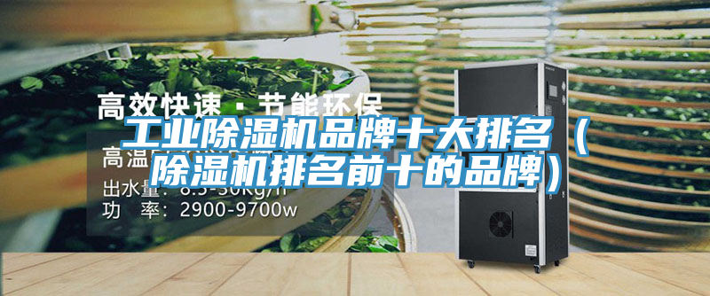 工業榴莲视频官网APP品牌十大排名（榴莲视频官网APP排名前十的品牌）