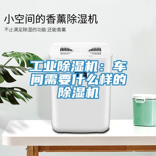 工業榴莲视频官网APP：車間需要什麽樣的榴莲视频官网APP