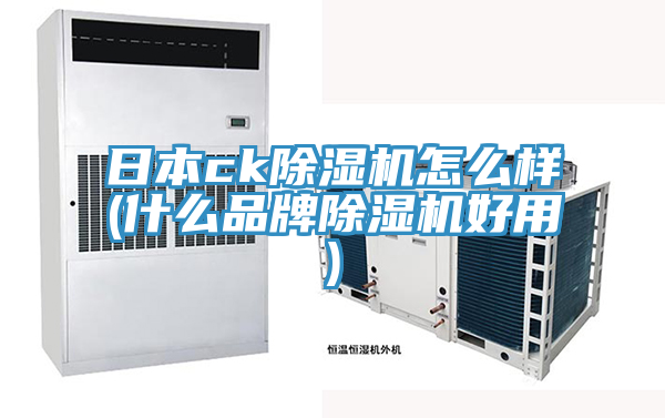 日本ck榴莲视频官网APP怎麽樣(什麽品牌榴莲视频官网APP好用)