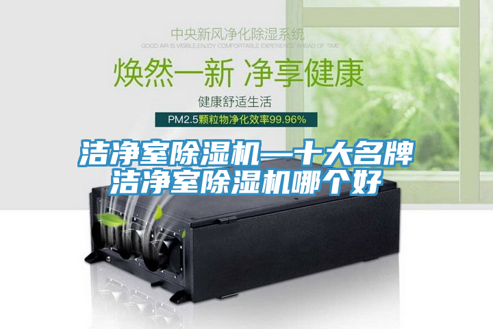 潔淨室榴莲视频官网APP—十大名牌潔淨室榴莲视频官网APP哪個好