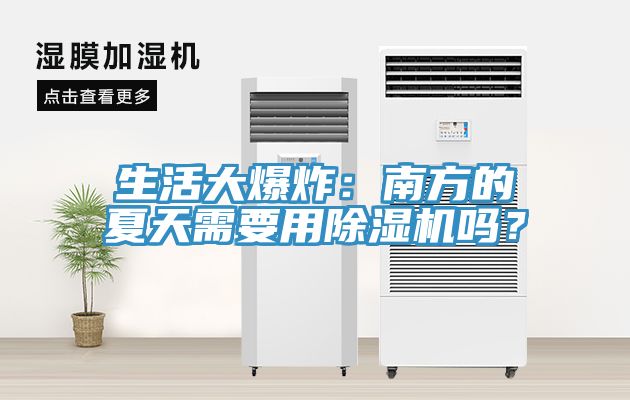生活大爆炸：南方的夏天需要用榴莲视频官网APP嗎？