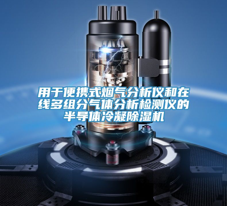 用於便攜式煙氣分析儀和在線多組分氣體分析檢測儀的半導體冷凝榴莲视频官网APP
