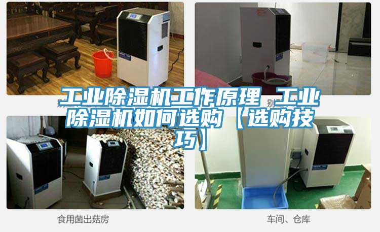 工業榴莲视频官网APP工作原理 工業榴莲视频官网APP如何選購【選購技巧】