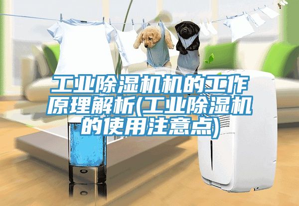 工業榴莲视频官网APP機的工作原理解析(工業榴莲视频官网APP的使用注意點)