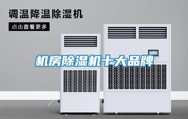 機房榴莲视频官网APP十大品牌