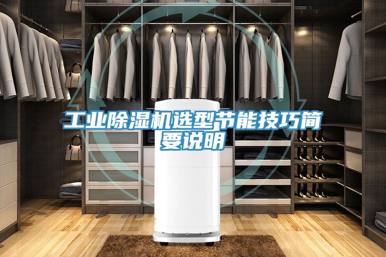 工業榴莲视频官网APP選型節能技巧簡要說明