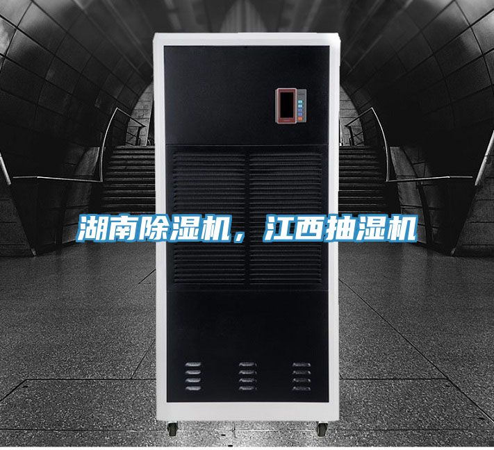 湖南榴莲视频官网APP，江西抽濕機