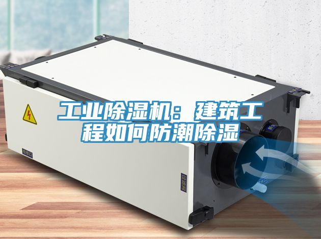工業榴莲视频官网APP：建築工程如何防潮除濕