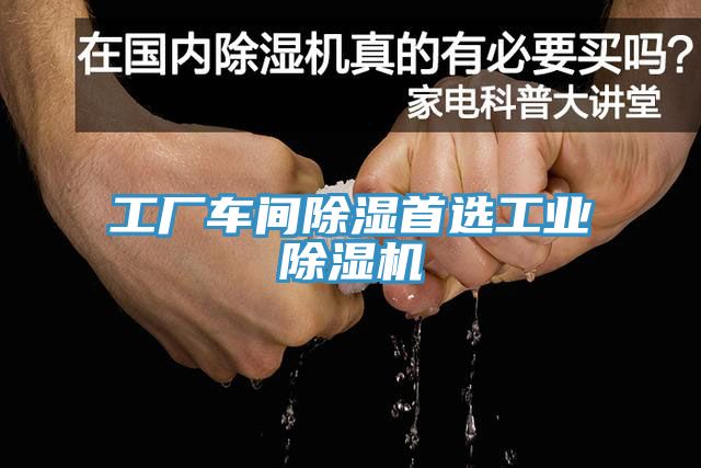 工廠車間除濕首選工業榴莲视频官网APP