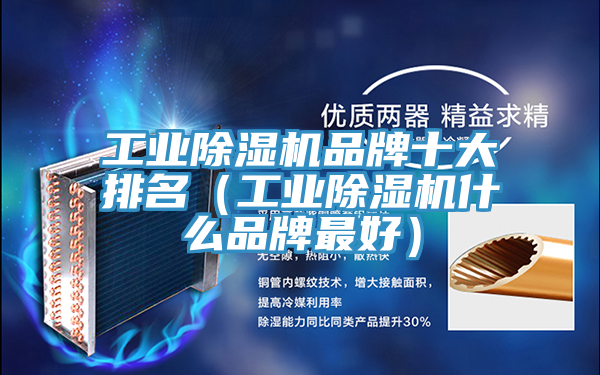 工業榴莲视频官网APP品牌十大排名（工業榴莲视频官网APP什麽品牌最好）