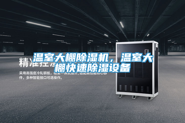 溫室大棚榴莲视频官网APP，溫室大棚快速除濕設備