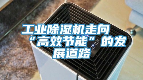 工業榴莲视频官网APP走向“高效節能”的發展道路